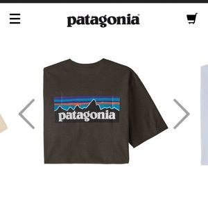 Men's Patagonia Logo Tee